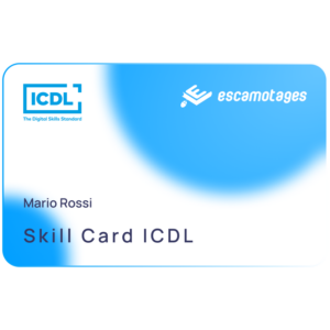 Skill Card ICDL